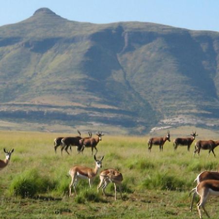 Moolmanshoek Private Game Reserve Hotel Ficksburg Dış mekan fotoğraf